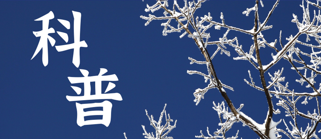 科普 | 冬季雨雪天氣?；愤\輸車輛注意事項