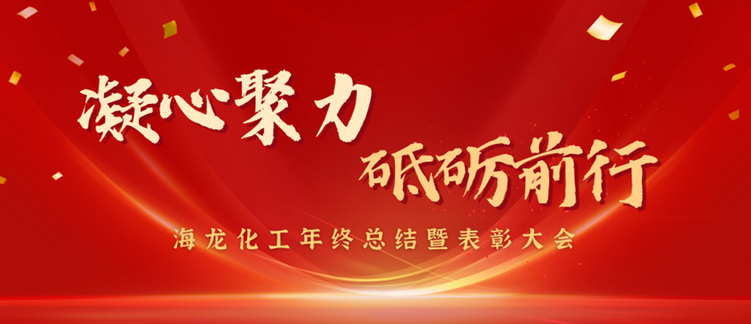 表彰 | 凝心聚力，砥礪前行，海龍化工年終總結(jié)暨表彰大會(huì)圓滿舉行